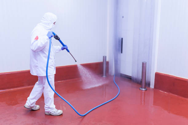 Best Rust Removal  in Sheffield, AL